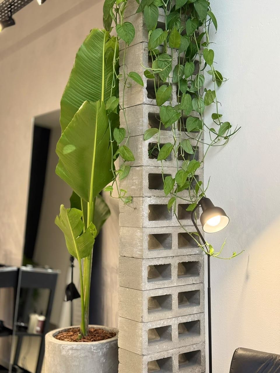 Detalhe do pilar de blocos de cimento com plantas pendentes